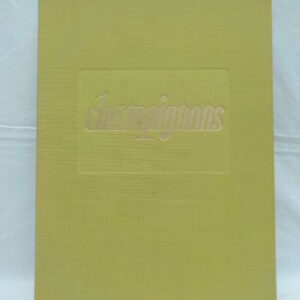 Portefolio "Champignons"